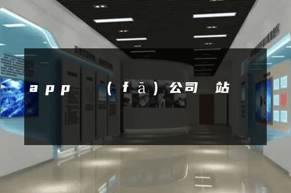 app開發(fā)公司網站