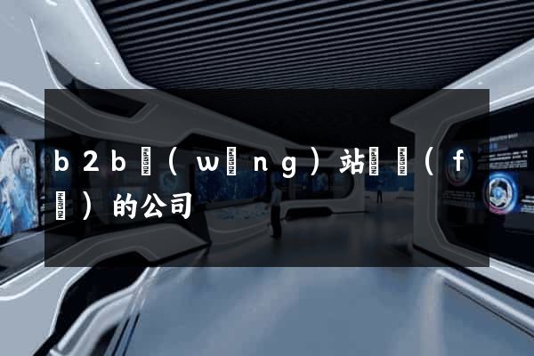 b2b網(wǎng)站開發(fā)的公司