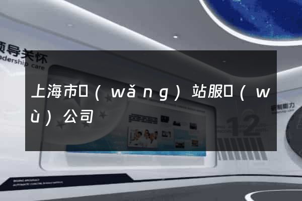 上海市網(wǎng)站服務(wù)公司
