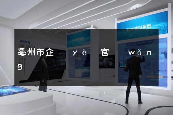 亳州市企業(yè)官網(wǎng)設計