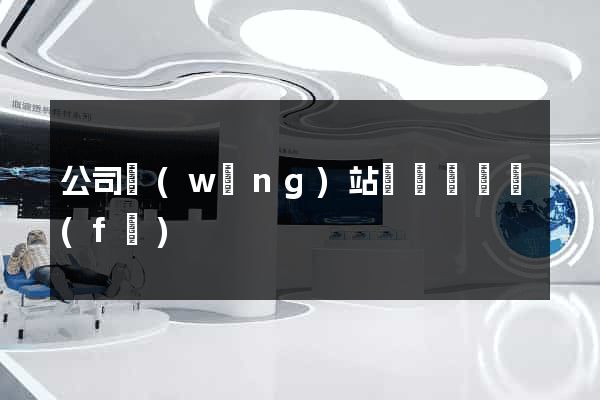 公司網(wǎng)站設計與開發(fā)