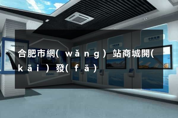 合肥市網(wǎng)站商城開(kāi)發(fā)