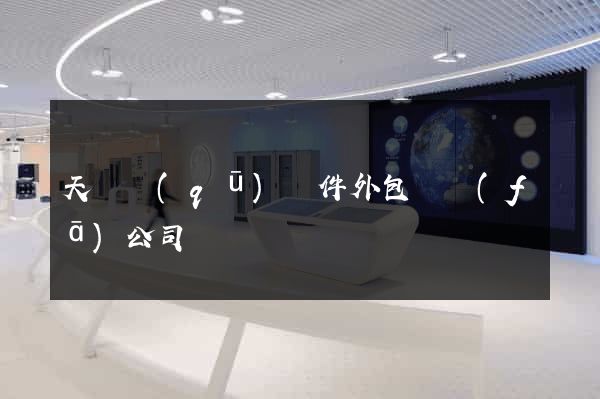 天寧區(qū)軟件外包開發(fā)公司