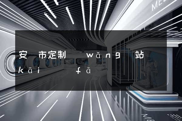 安慶市定制網(wǎng)站開(kāi)發(fā)