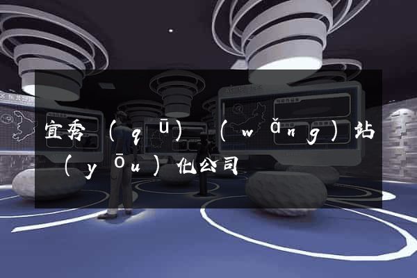 宜秀區(qū)網(wǎng)站優(yōu)化公司
