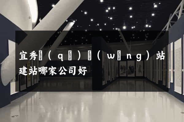 宜秀區(qū)網(wǎng)站建站哪家公司好