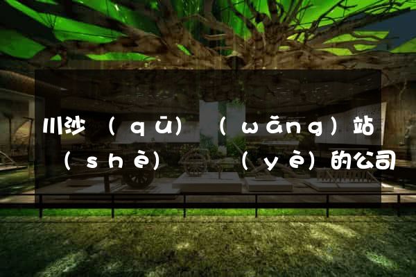 川沙區(qū)網(wǎng)站設(shè)計專業(yè)的公司