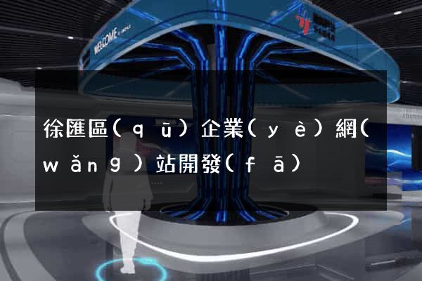 徐匯區(qū)企業(yè)網(wǎng)站開發(fā)