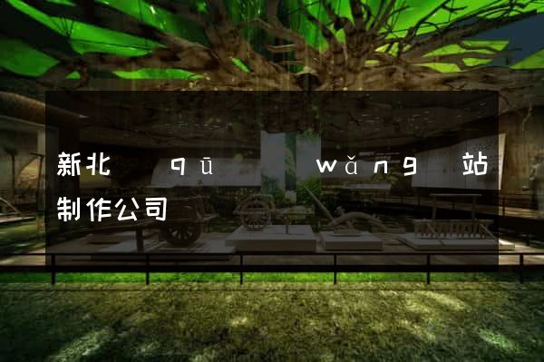 新北區(qū)網(wǎng)站制作公司