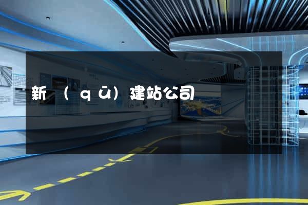 新區(qū)建站公司