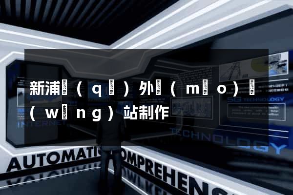 新浦區(qū)外貿(mào)網(wǎng)站制作