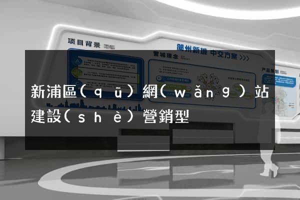 新浦區(qū)網(wǎng)站建設(shè)營銷型