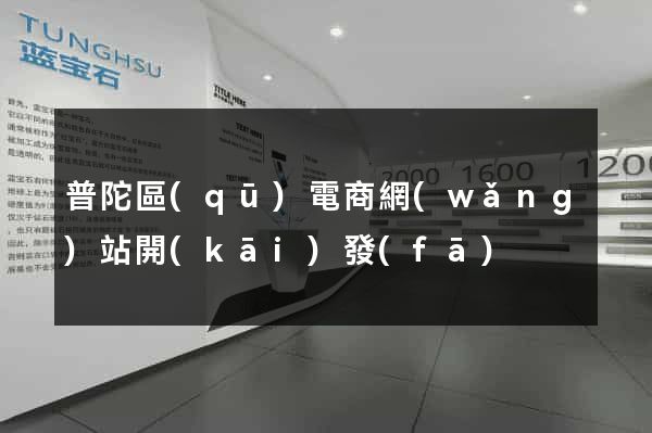 普陀區(qū)電商網(wǎng)站開(kāi)發(fā)