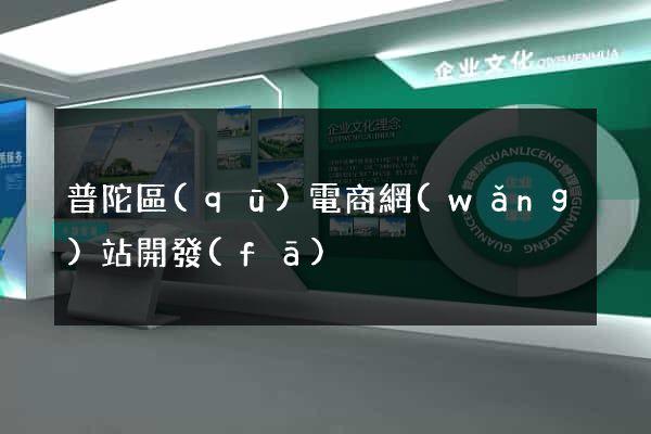 普陀區(qū)電商網(wǎng)站開發(fā)