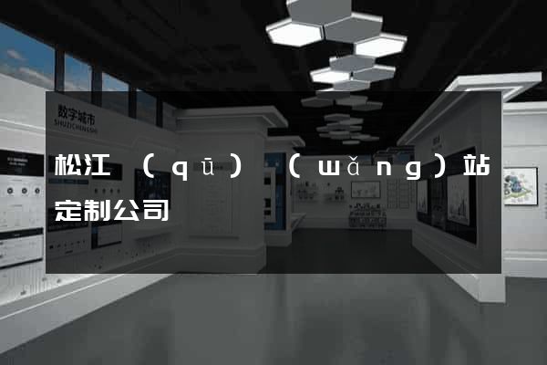 松江區(qū)網(wǎng)站定制公司