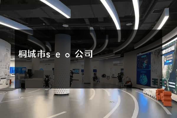 桐城市seo公司
