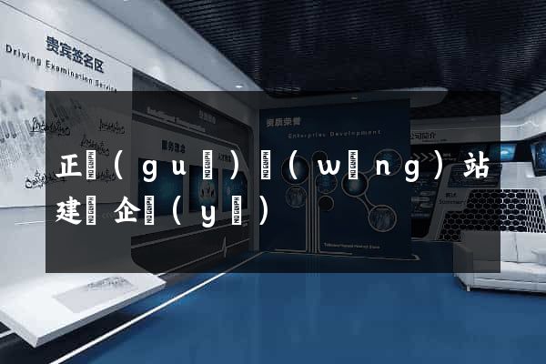 正規(guī)網(wǎng)站建設企業(yè)