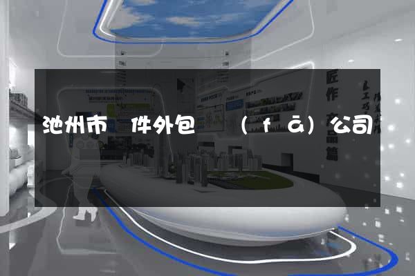 池州市軟件外包開發(fā)公司