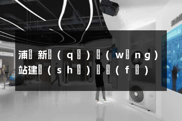 浦東新區(qū)網(wǎng)站建設(shè)開發(fā)