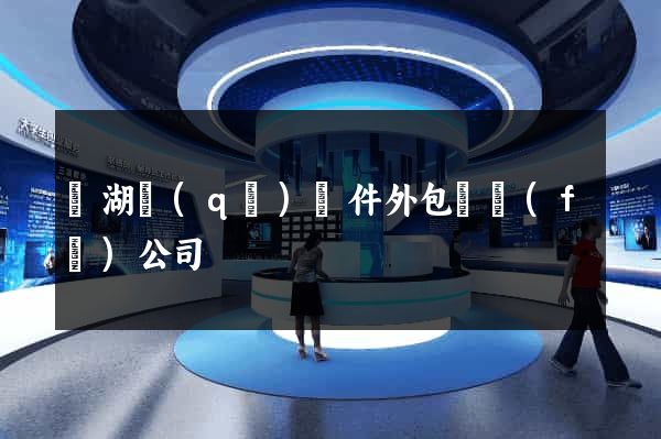濱湖區(qū)軟件外包開發(fā)公司