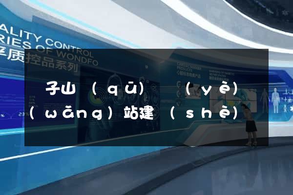 獅子山區(qū)專業(yè)網(wǎng)站建設(shè)
