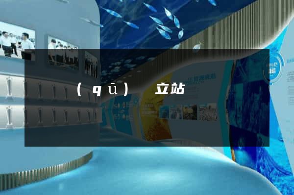 盧灣區(qū)獨立站運營