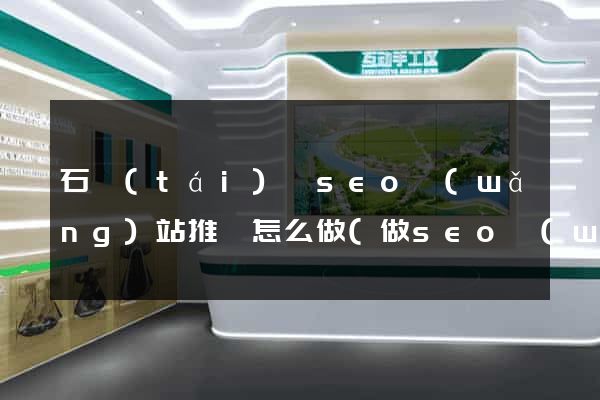石臺(tái)縣seo網(wǎng)站推廣怎么做(做seo網(wǎng)站營(yíng)銷(xiāo)推廣)