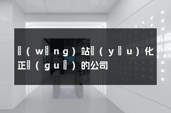 網(wǎng)站優(yōu)化正規(guī)的公司