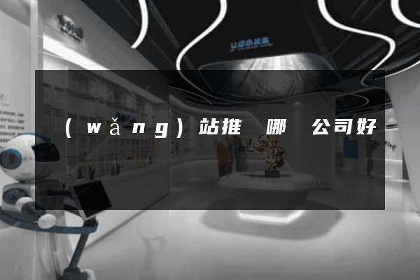 網(wǎng)站推廣哪個公司好