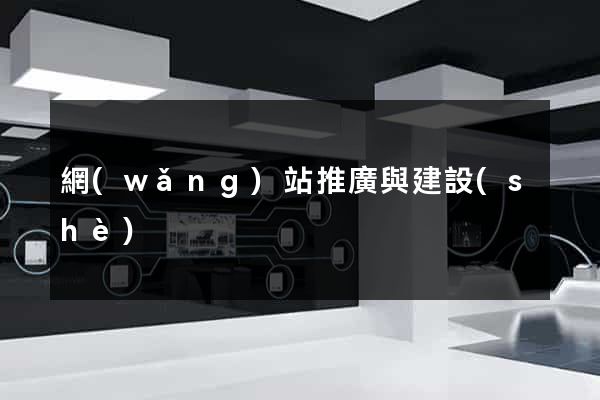 網(wǎng)站推廣與建設(shè)
