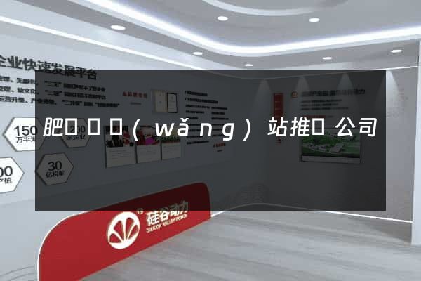 肥東縣網(wǎng)站推廣公司