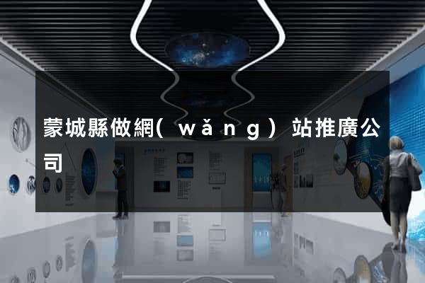 蒙城縣做網(wǎng)站推廣公司