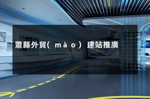 蕭縣外貿(mào)建站推廣