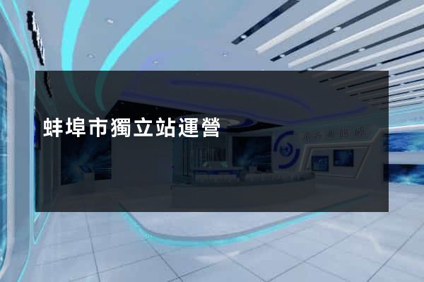 蚌埠市獨立站運營
