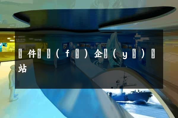 軟件開發(fā)企業(yè)網站