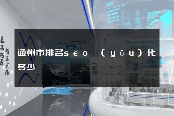 通州市排名seo優(yōu)化多少錢