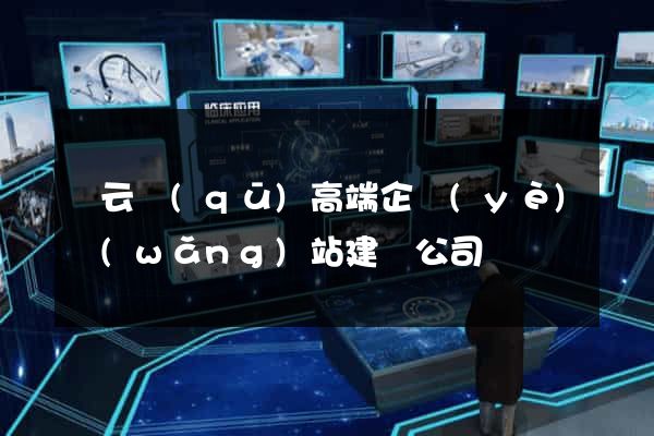 連云區(qū)高端企業(yè)網(wǎng)站建設公司