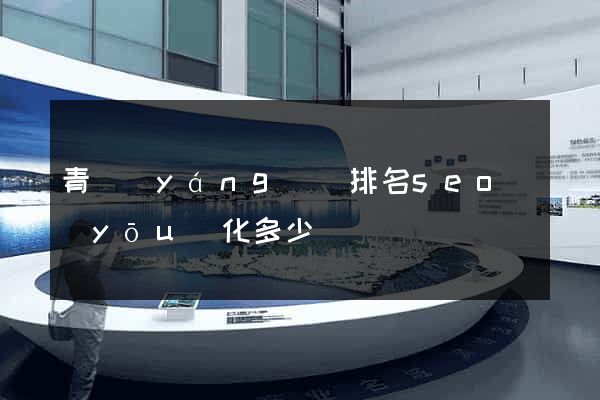 青陽(yáng)縣排名seo優(yōu)化多少錢