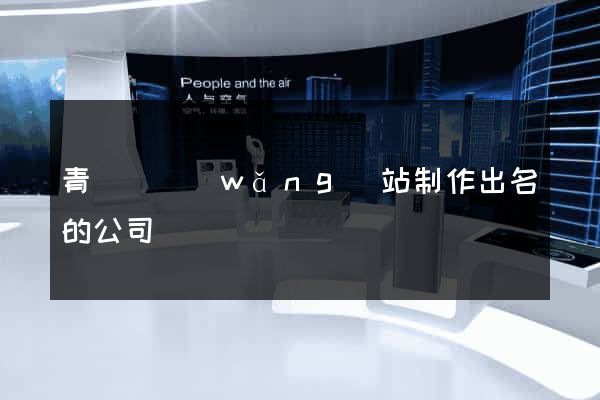 青陽縣網(wǎng)站制作出名的公司