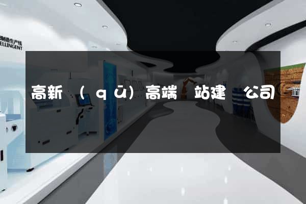 高新區(qū)高端網站建設公司