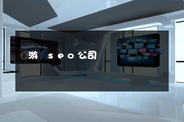 龍游縣seo公司